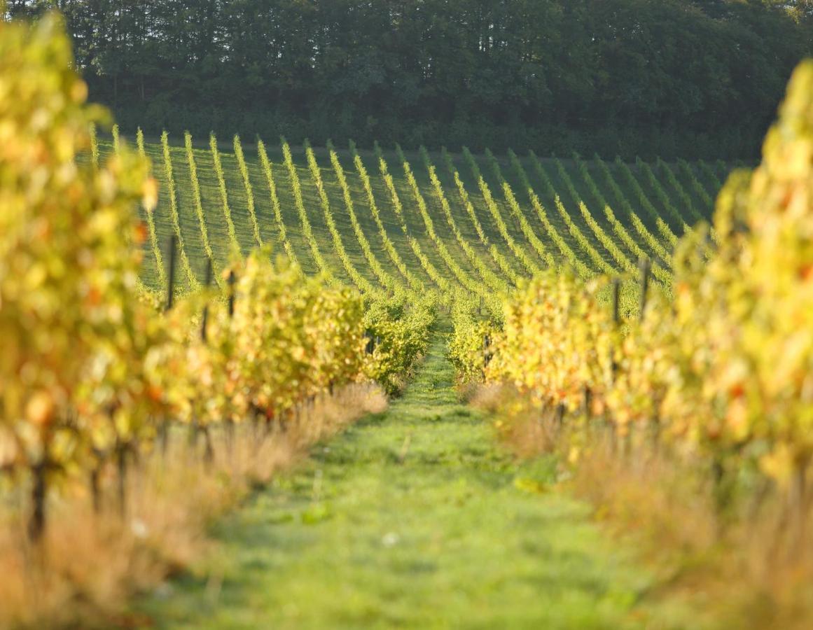 Denbies Vineyard Hotel Dorking Exterior foto